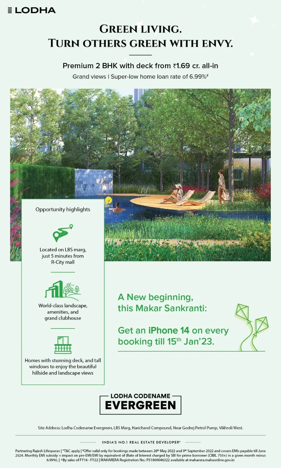 Evergreen gallery