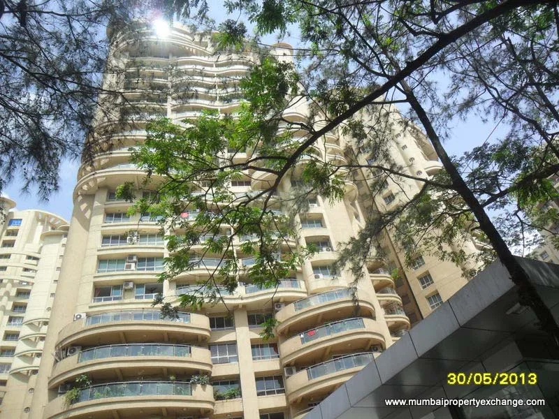 Mimosa and Mirabilis — Powai
