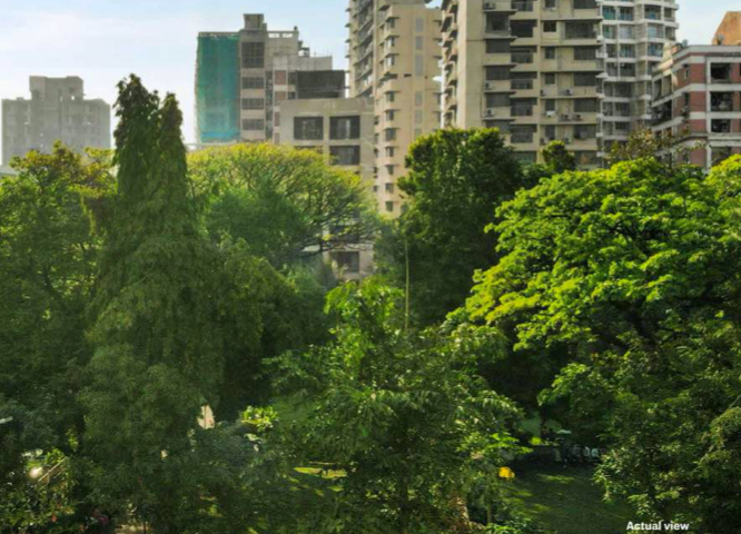 Crest Parkview