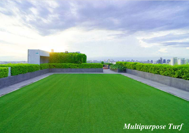 Modirealty Vatvriksh