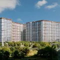 Jade Park