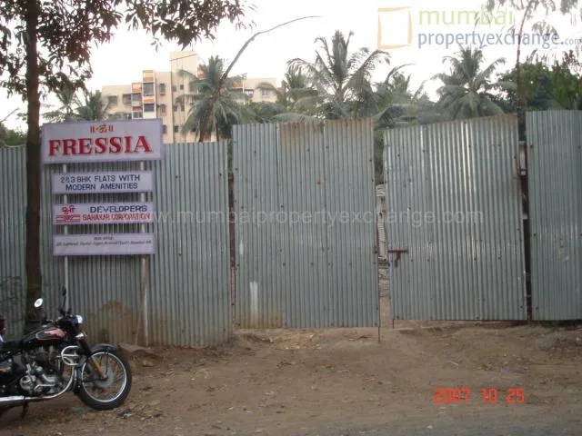 Fressia gallery