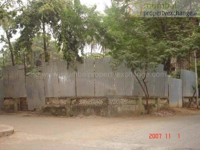 Trishul gallery