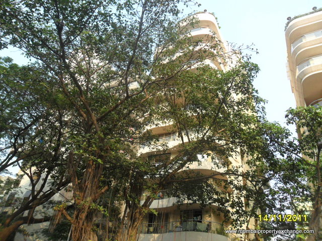Ever Glades — Bandra West
