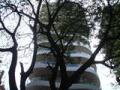 Ever Glades โ Bandra West