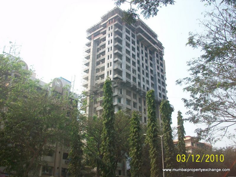 Radha Krishna for rent