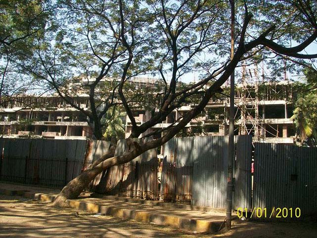 Rajshree Daisy — Chembur