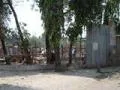 Vihangam photo 4