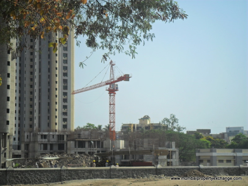 Thrill and Triumph — Mulund West
