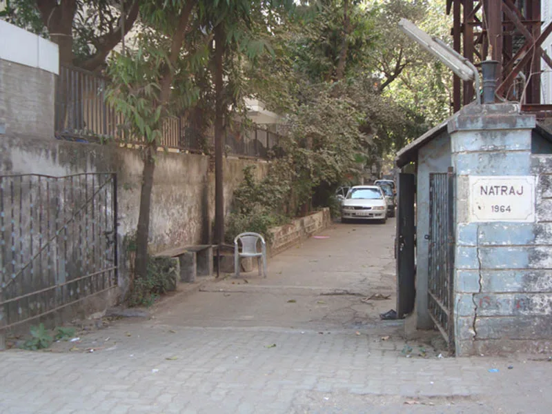 Kamala Natraj gallery