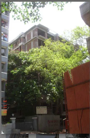 Suraksha gallery