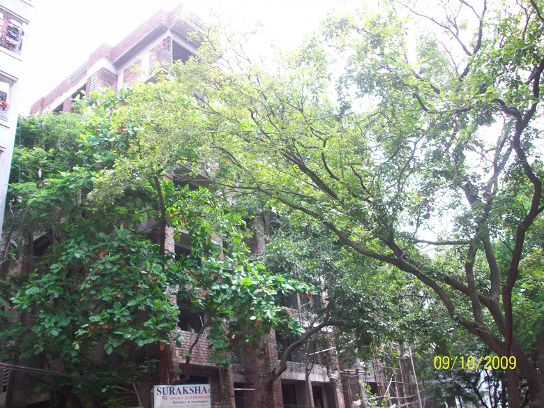Suraksha gallery