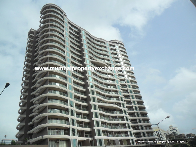 1 BHK Semi Furnished in Shiv Shrushti , Kandivali West