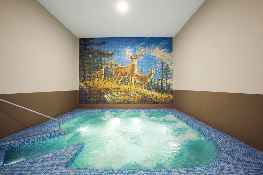 Ashford Royale Tower D