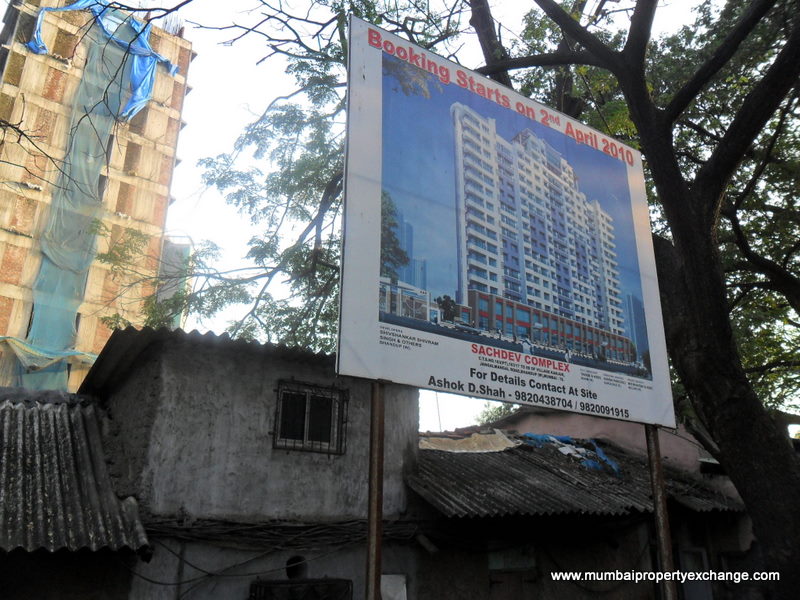 Sachdev Complex
