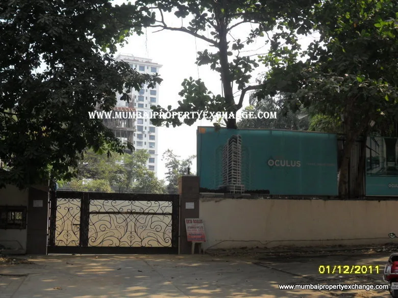 Ekta Oculus gallery