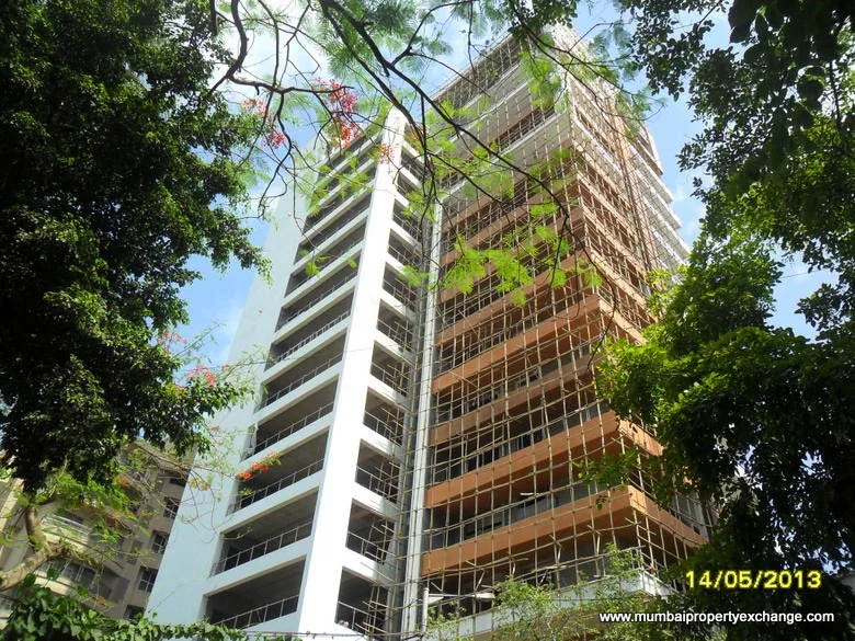 DLH Ornate photo 6