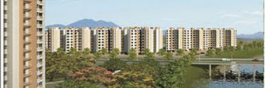 Casa Rio Gold