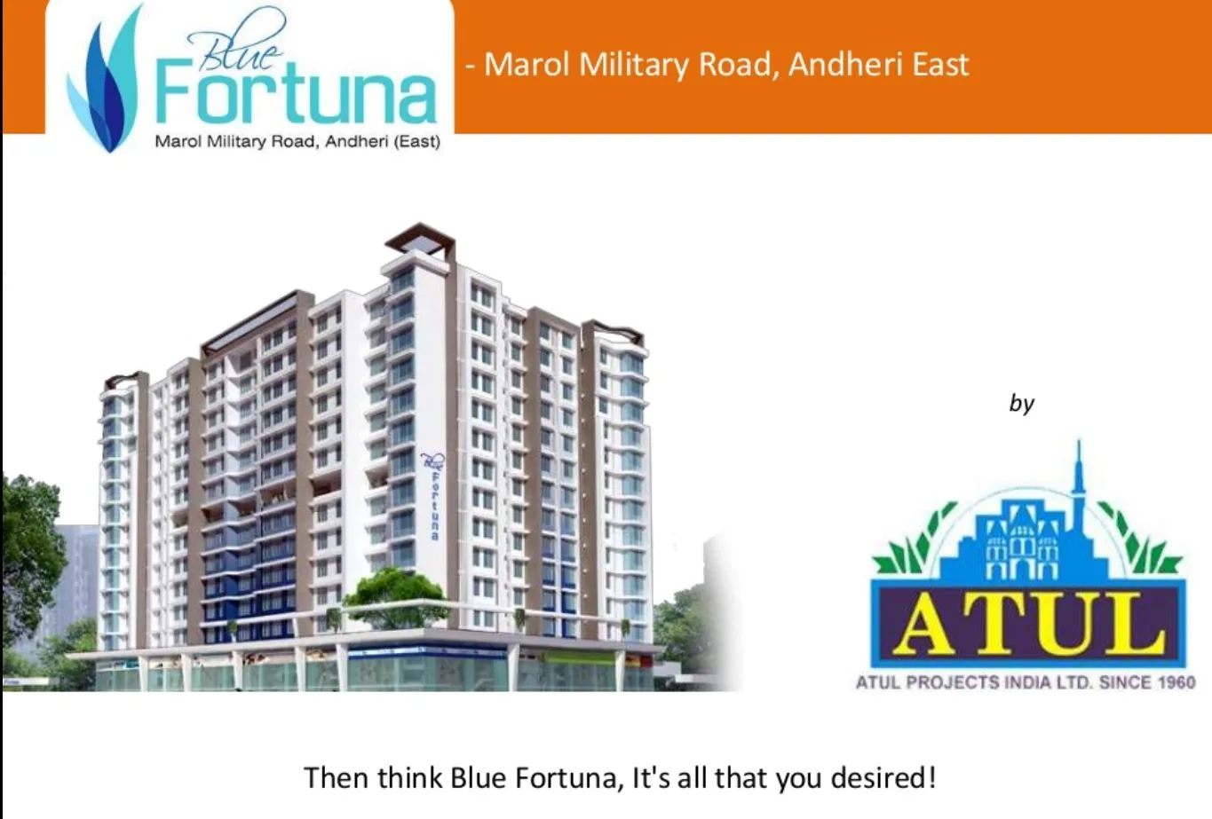 Blue Fortuna  photo 6