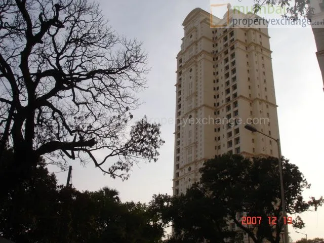 Ixora photo 6
