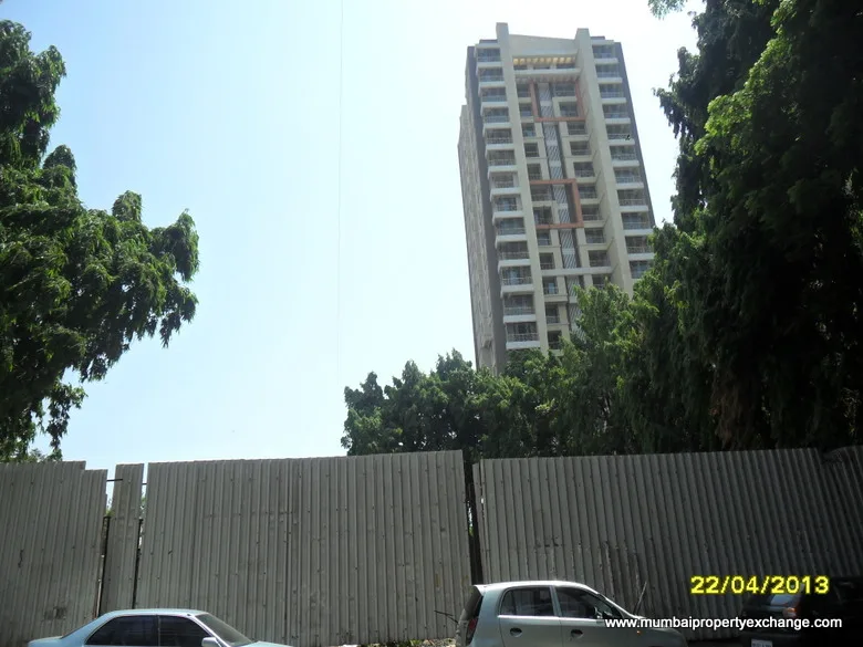 Sai Pearl gallery