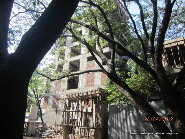 Rajshree Clover gallery