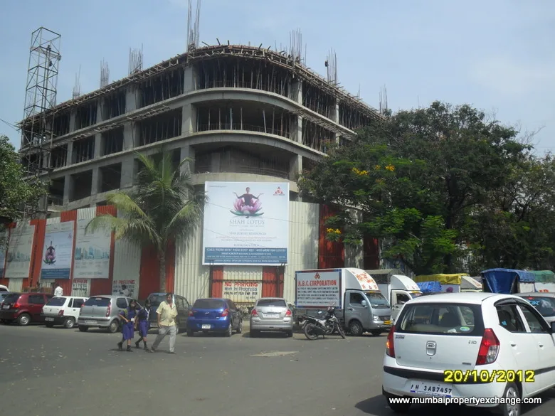 Shah Lotus gallery