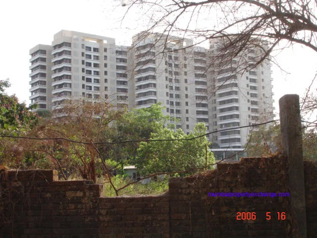 Kalpataru Estate photo 5