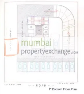 Vishwa Hans gallery
