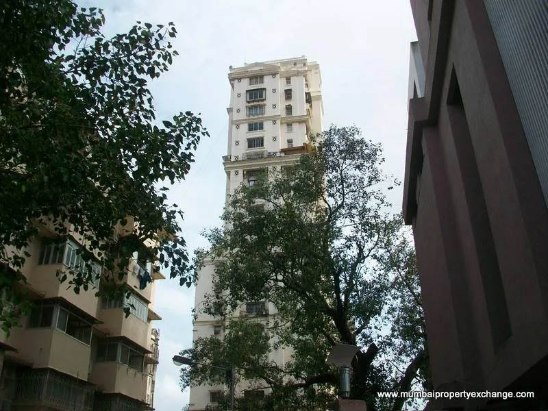 Ackruti Aditya gallery