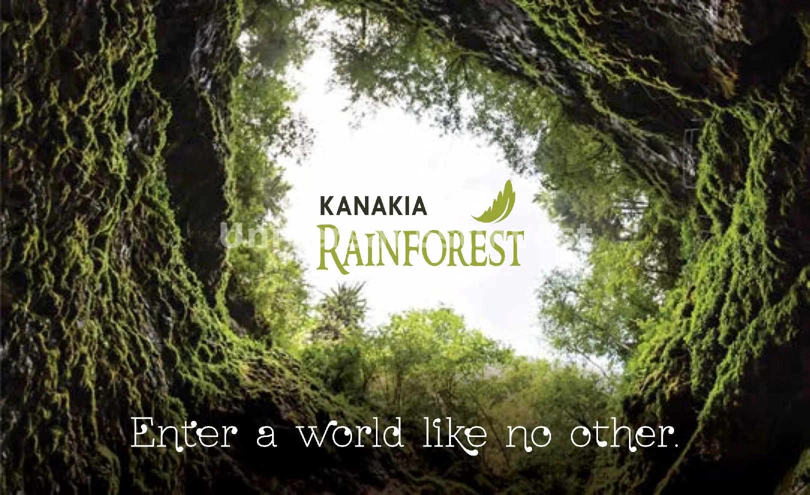 Kanakia Rainforest gallery
