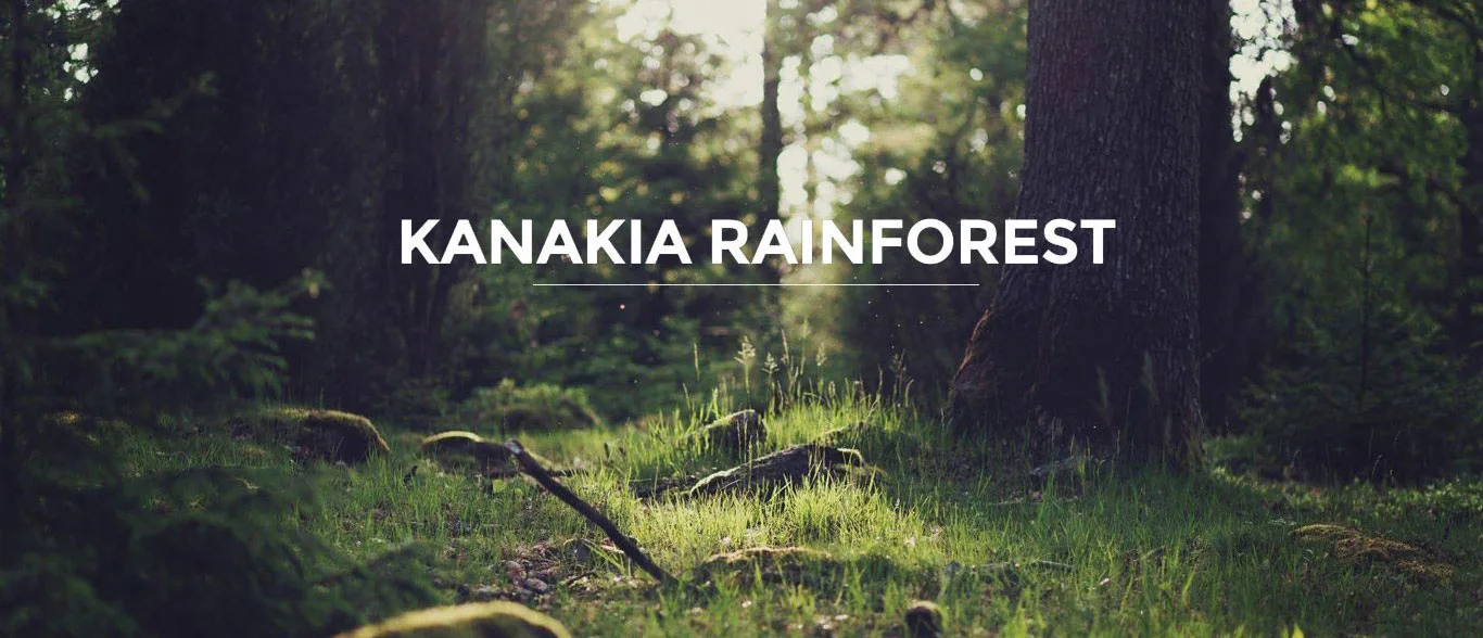 Kanakia Rainforest gallery