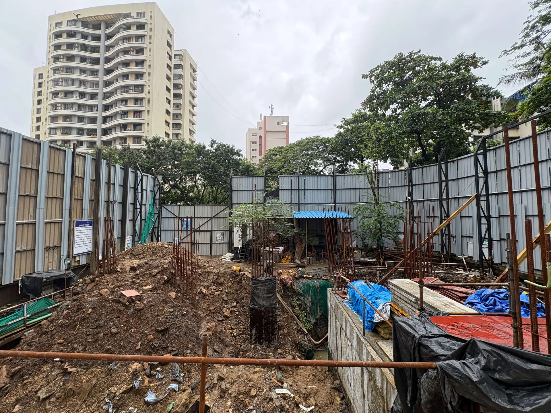 Kalpataru Verbina photo 5