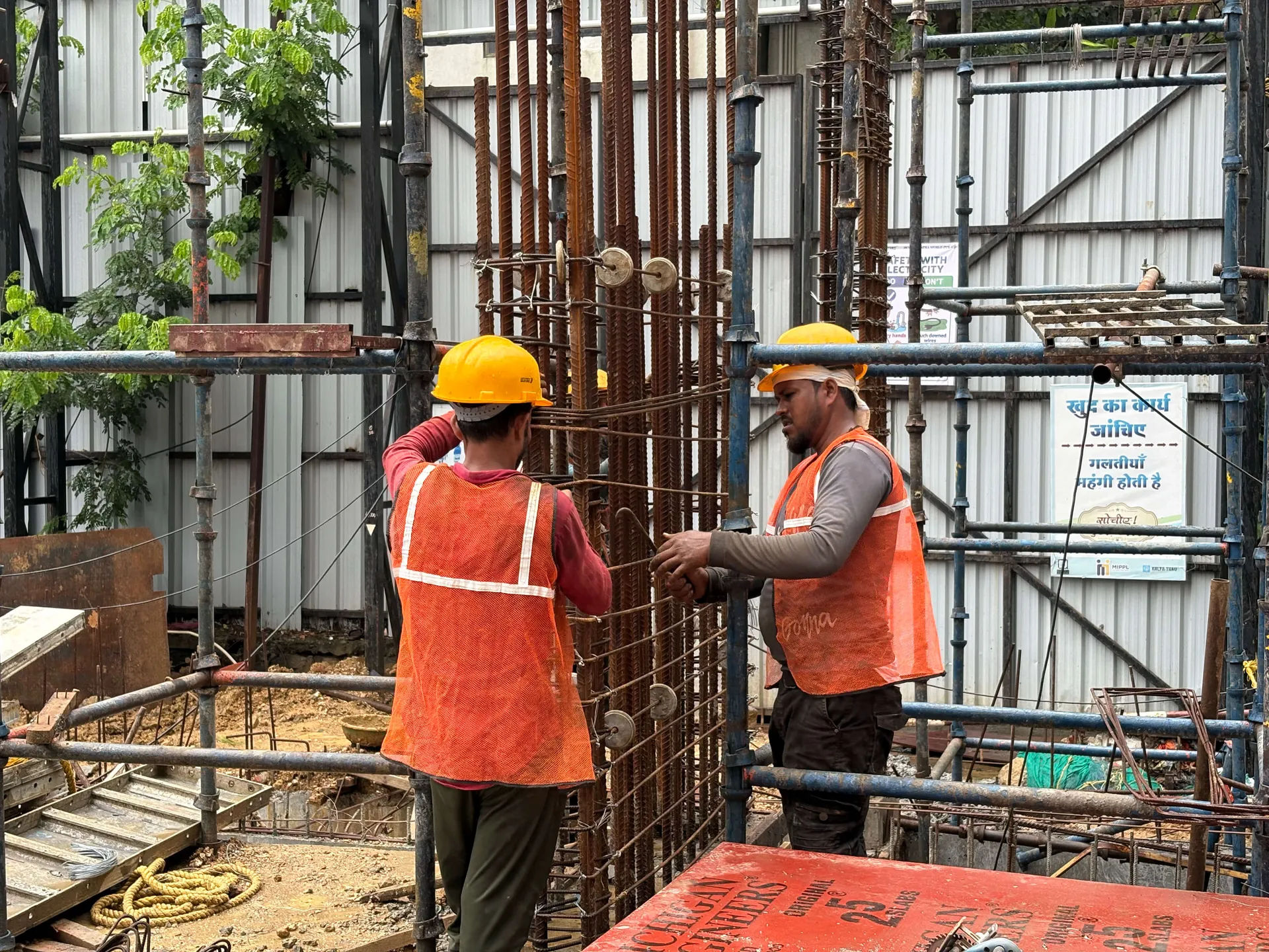 Kalpataru Verbina photo 4