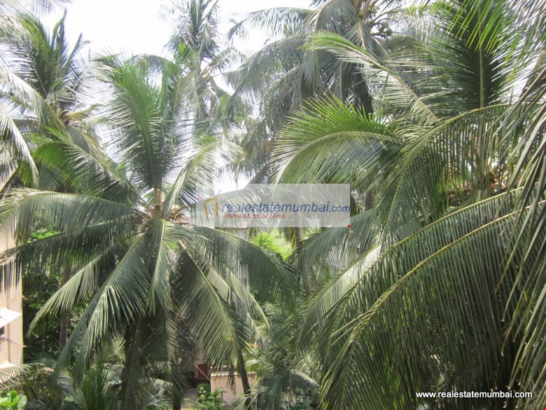 Sunset Bay — Bandra West (10)
