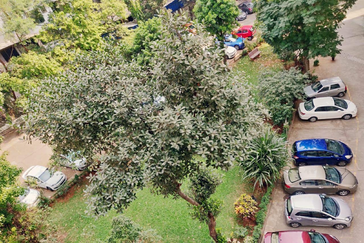 Jagat Vidya โ Bandra East (10)